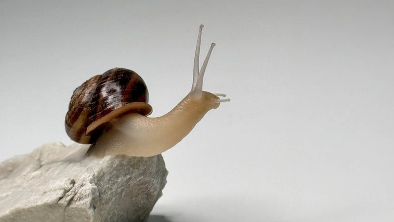 mediateko_hyviauutisia_05-2025_01
