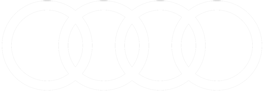case-audi